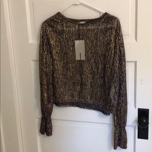 Sheer Gold Zara Top